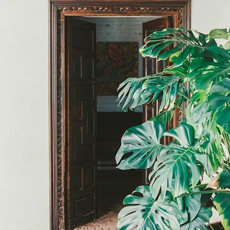 Historic Riad Alhambra Townhouse Holiday home Granada