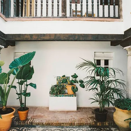 Historic Riad Alhambra Townhouse Holiday home